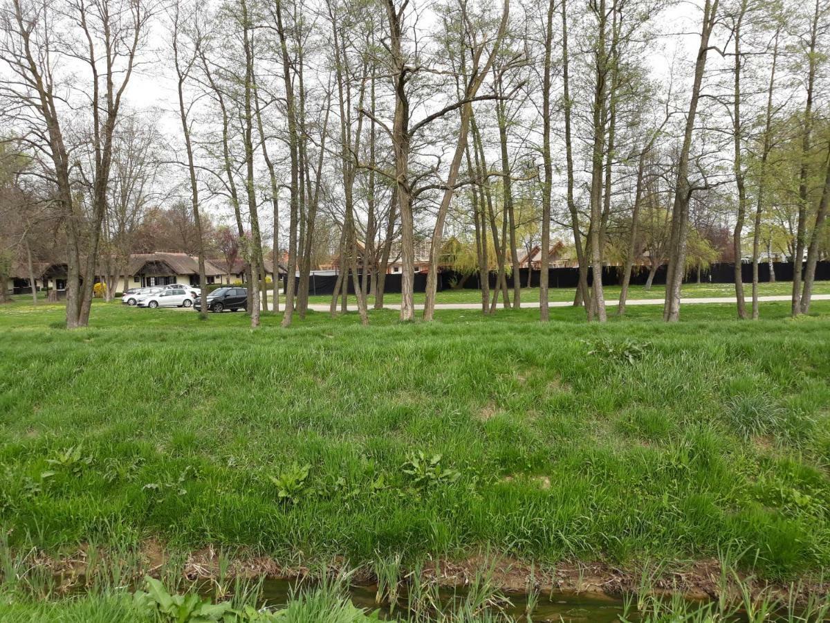 Apartma C-06, C-11 Moravske-Toplice Eksteriør billede